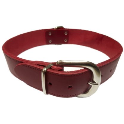 COLLAR CUERO LISO 35X650MM.ROJO - Imagen 11