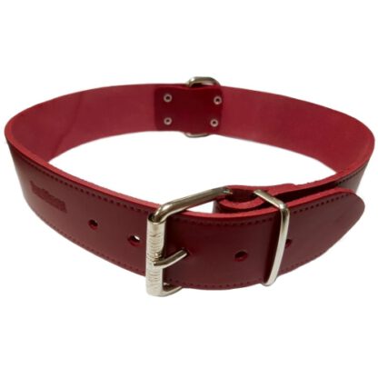 COLLAR CUERO LISO 35X650MM.ROJO - Imagen 14