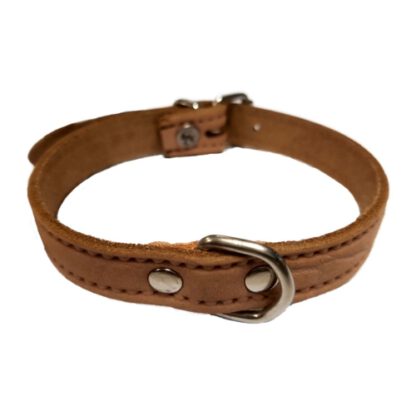 COLLAR PIEL LABRADO 20x500mm. ROJO - Imagen 2