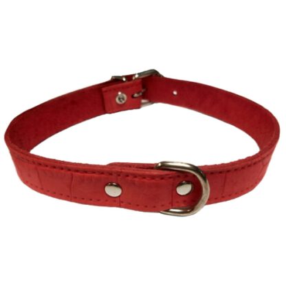 COLLAR PIEL LABRADO 20x500mm. ROJO - Imagen 5