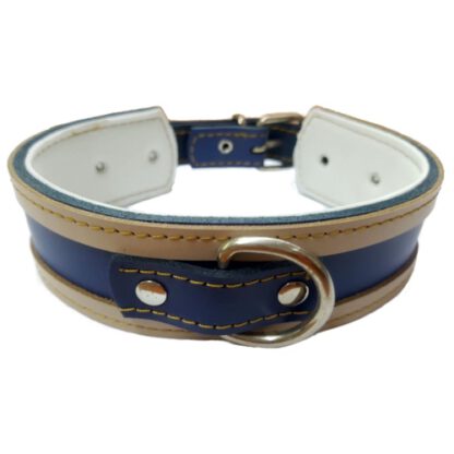 COLLAR GALGO ROJO BORDE NEGRO 35X4CM - Imagen 5