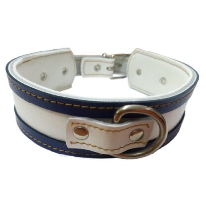 COLLAR GALGO ROJO BORDE NEGRO 35X4CM - Imagen 6