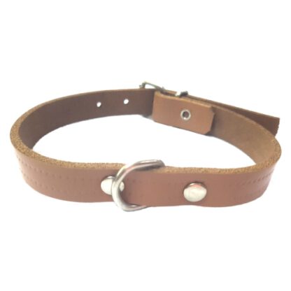 COLLAR CUERO ROJO LAURA 2,5x 45cm. - Imagen 2