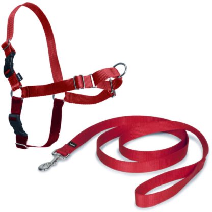 ARNES EASY WALK MEDIANO. ROJO - Imagen 2