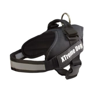 ARNES XTREME DOG LILA S (50-64cm)