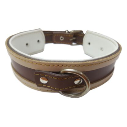 COLLAR GALGO ROJO BORDE NEGRO 35X4CM - Imagen 2