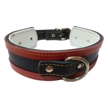 COLLAR GALGO ROJO BORDE NEGRO 35X4CM - Imagen 3