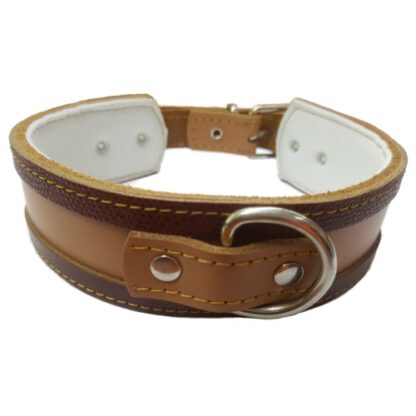 COLLAR GALGO ROJO BORDE NEGRO 35X4CM - Imagen 4