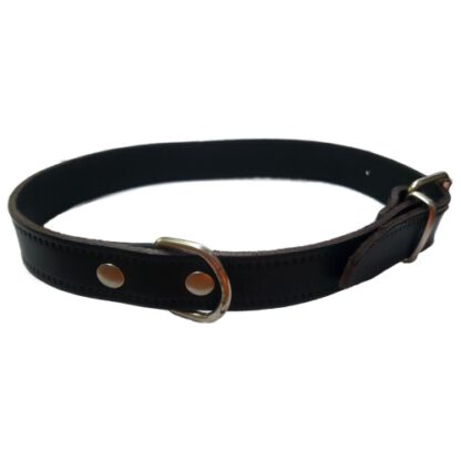 COLLAR CUERO LISO NEGRO 45X1.8CM VMD - Imagen 5