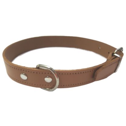 COLLAR CUERO LISO NEGRO 45X1.8CM VMD - Imagen 6