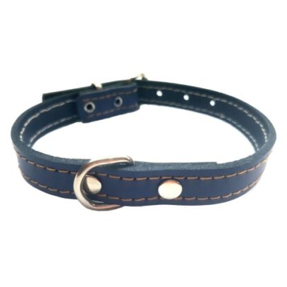 COLLAR CUERO AZUL LAURA MOD.53 1,5X 28CM. - Imagen 4