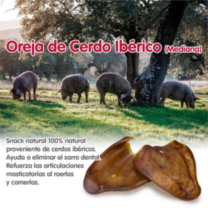 OREJAS DE CERDO IBERICO MEDIANA - 30 UDS. - Imagen 4