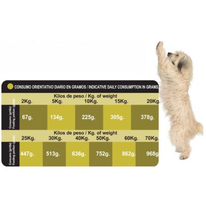 PROCT-DOG ADULT ENERGY 20 KG. - Imagen 3
