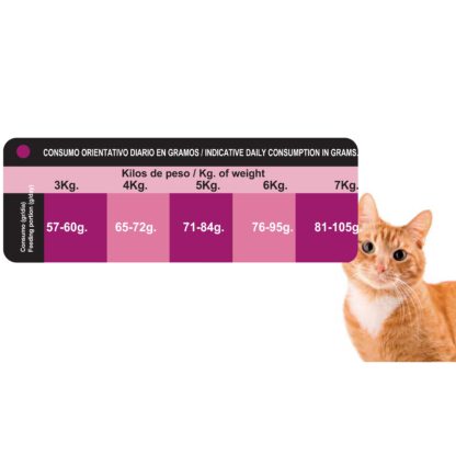 PROCT-CAT ADULT CHICKEN 4 KG.  -4- - Imagen 3