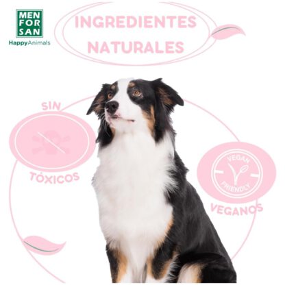 MENFORSAN CHAMPU ACONDICIONADOR 300ml. - Imagen 5