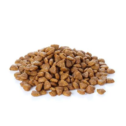 BANTERS DOG ADULT LARGE BREED 15 KG. - Imagen 3