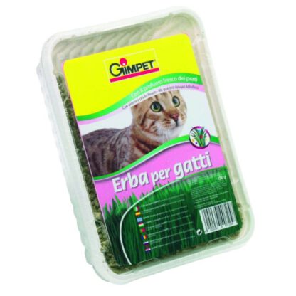 HIERBA GATO VITAMINADA CON TGOS 100gr.GIMPET - Imagen 2
