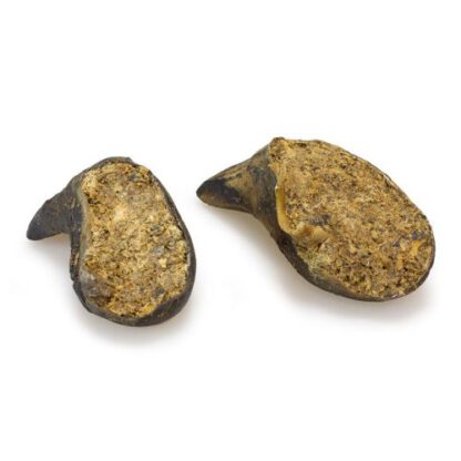 Pezuña de Búfalo rellena de Higado.Envase individual - Imagen 2