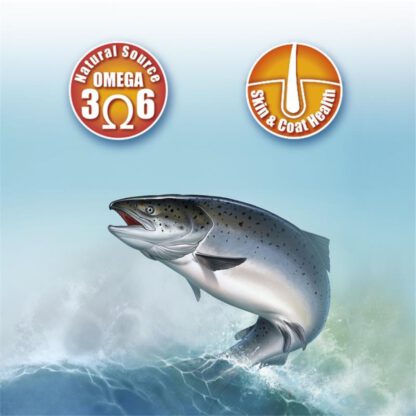 ACEITE DE SALMÓN 250ml. - Imagen 4