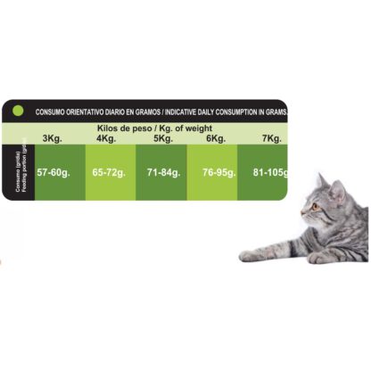 PROCT-CAT ADULT FISH&VEGETABLE 4 KG. - Imagen 3