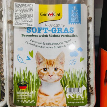HIERBA GATO VITAMINADA CON TGOS 100gr.GIMPET - Imagen 3