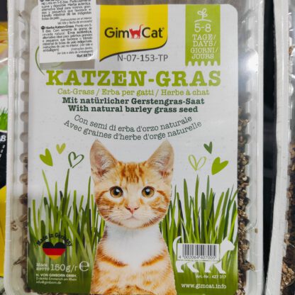 HIERBA GATO VITAMINADA CON TGOS 100gr.GIMPET - Imagen 4