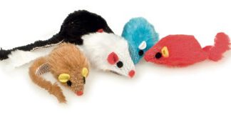 RATON COLORES SURTIDOS