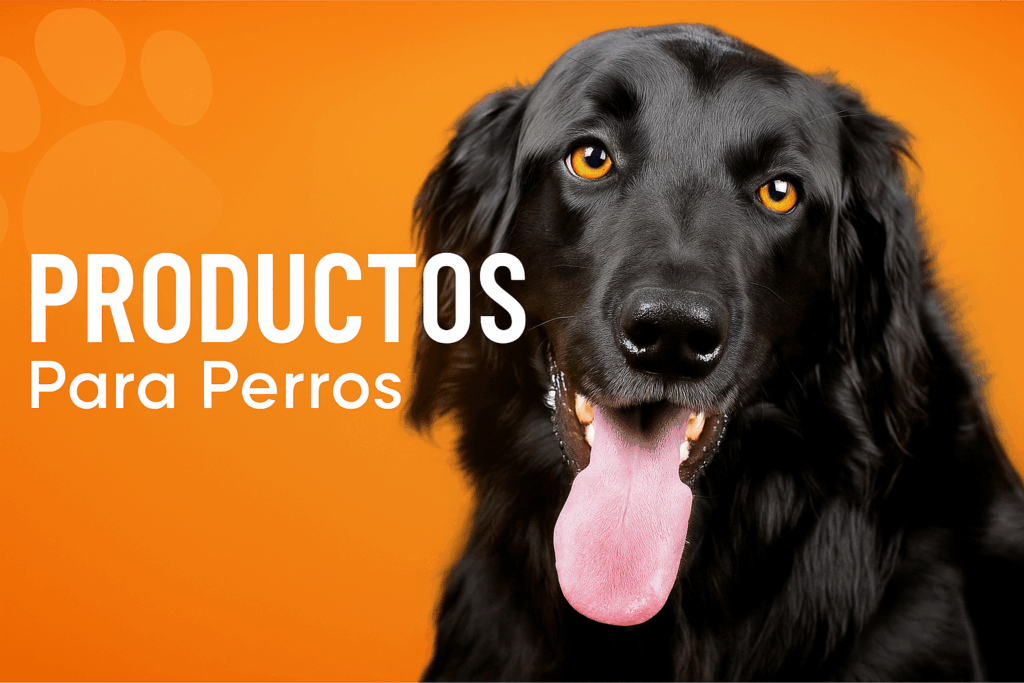 Tienda online de productos para perros