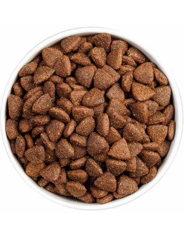 CLASSIC MONOP. IBERIAN PORK 12KG - Imagen 2