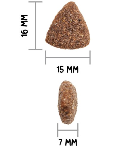 CLASSIC MONOP. IBERIAN PORK 12KG - Imagen 3