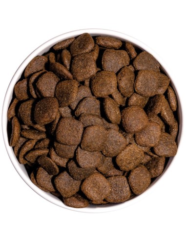 MAXI JUNIOR 3KG - Imagen 2