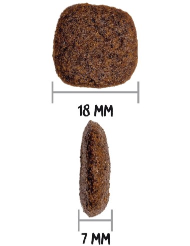 MAXI JUNIOR 3KG - Imagen 3