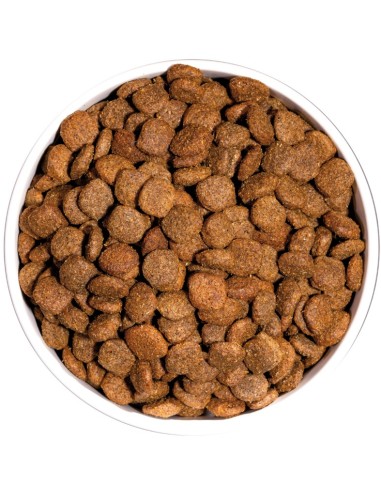 MEDIUM LIGHT 12KG - Imagen 2