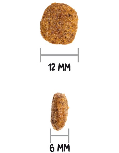 MEDIUM LIGHT 12KG - Imagen 3