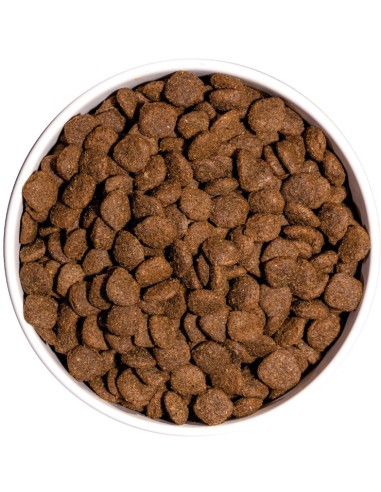 MEDIUM STERILIZED 12KG - Imagen 2