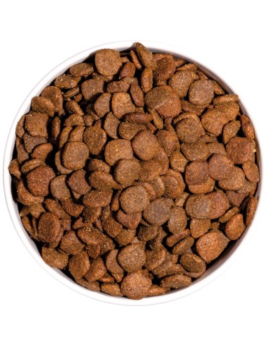 MINI ADULT 3KG - Imagen 2