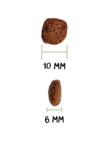 MINI ADULT 3KG - Imagen 3