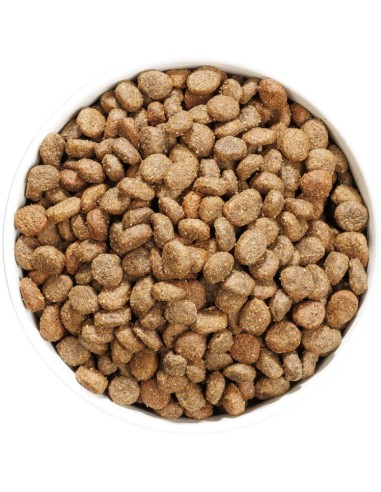 GRAIN FREE HYPO MINI LAMB 1KG - Imagen 2