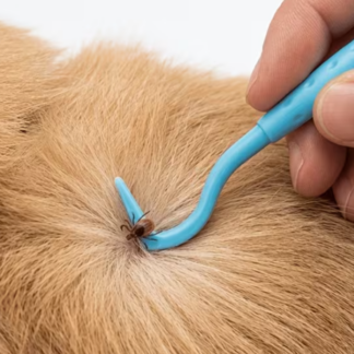 Kit 3 piezas para quitar garrapatas para perros y gatos